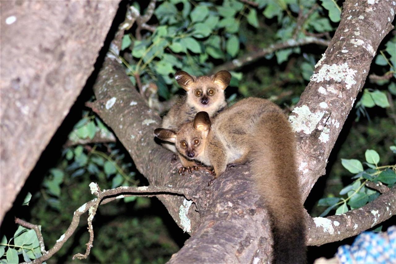 Апартаменты Kruger Kumba - Lahlekile Nathi Марлот-Парк Экстерьер фото