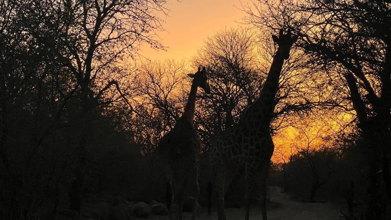Апартаменты Kruger Kumba - Lahlekile Nathi Марлот-Парк Экстерьер фото