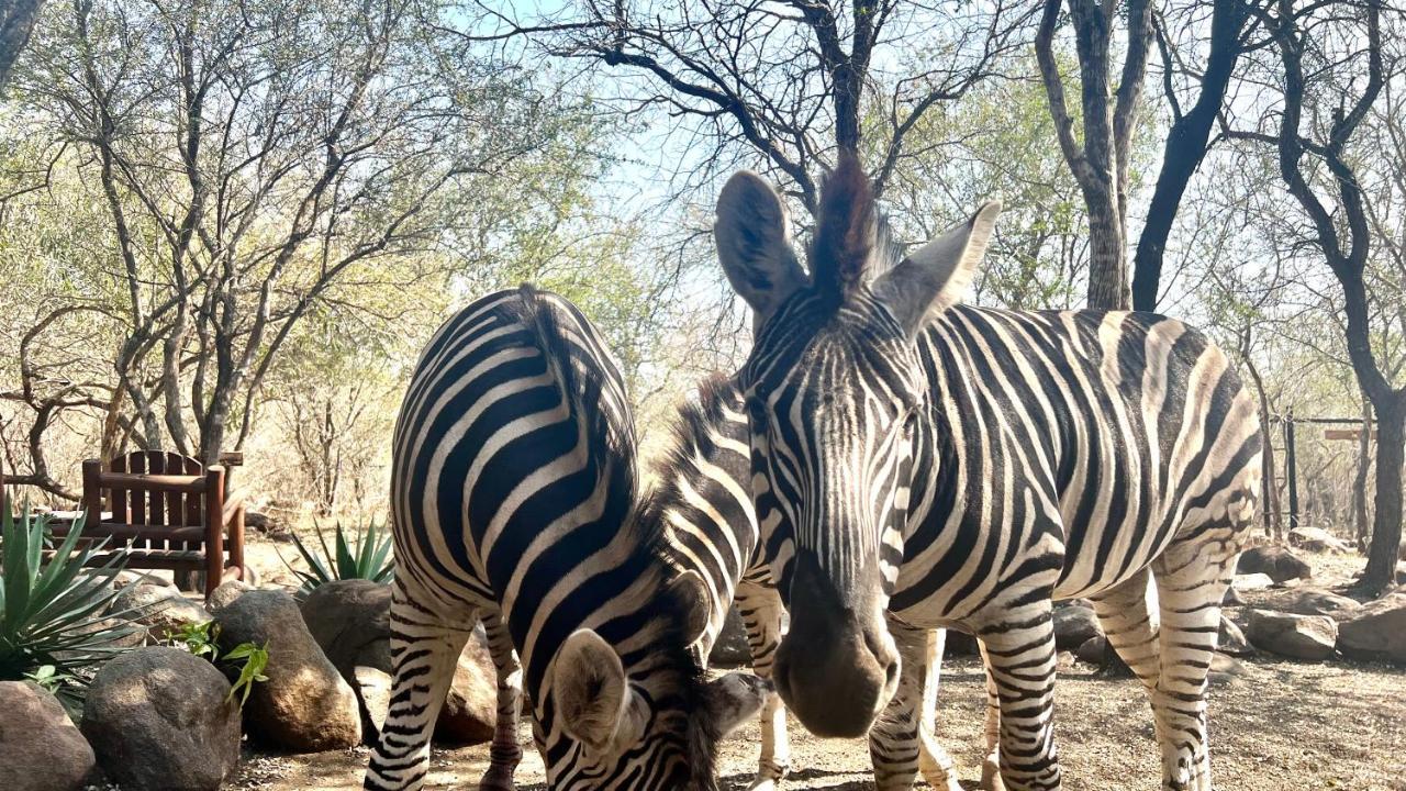 Апартаменты Kruger Kumba - Lahlekile Nathi Марлот-Парк Экстерьер фото