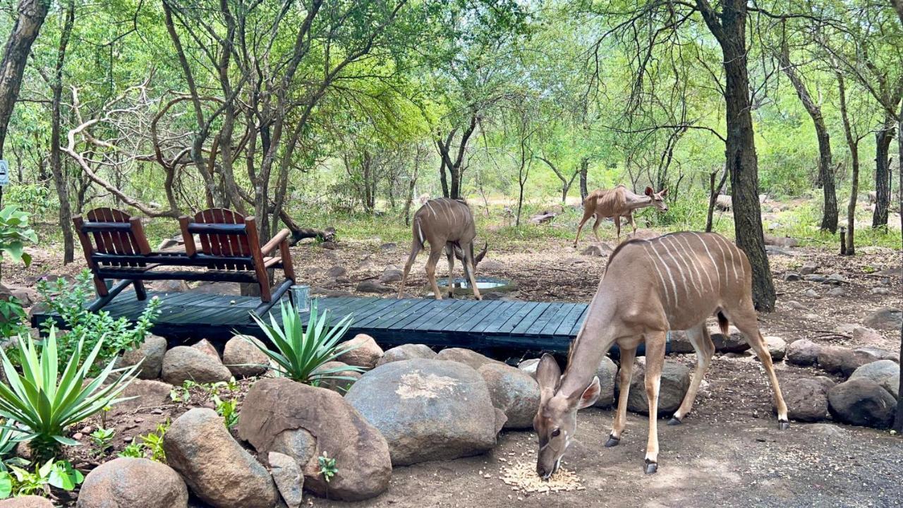 Апартаменты Kruger Kumba - Lahlekile Nathi Марлот-Парк Экстерьер фото