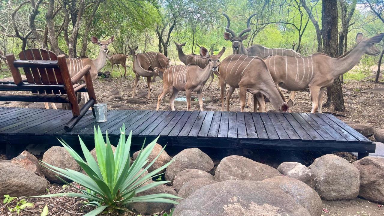 Апартаменты Kruger Kumba - Lahlekile Nathi Марлот-Парк Экстерьер фото