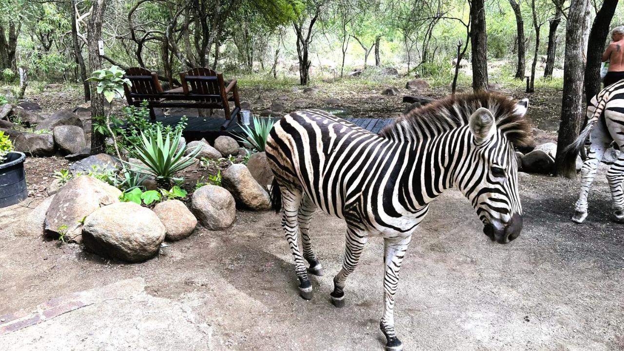 Апартаменты Kruger Kumba - Lahlekile Nathi Марлот-Парк Экстерьер фото