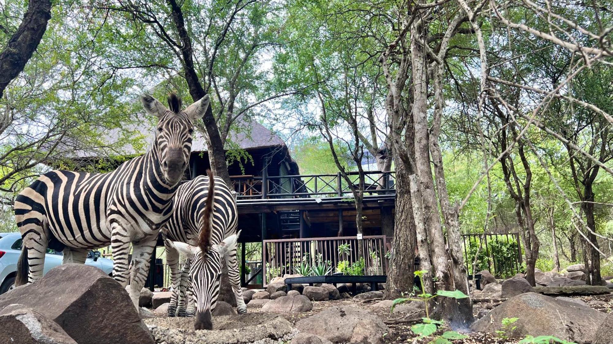 Апартаменты Kruger Kumba - Lahlekile Nathi Марлот-Парк Экстерьер фото